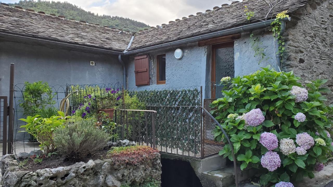 Gite De Combelebouze En Cevennes - Cosy, Confort Et Climatise - 3 Etoiles Saint-Privat-de-Vallongue Exterior foto