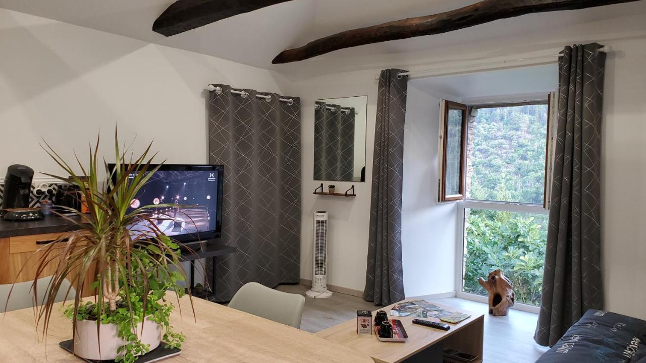 Gite De Combelebouze En Cevennes - Cosy, Confort Et Climatise - 3 Etoiles Saint-Privat-de-Vallongue Exterior foto
