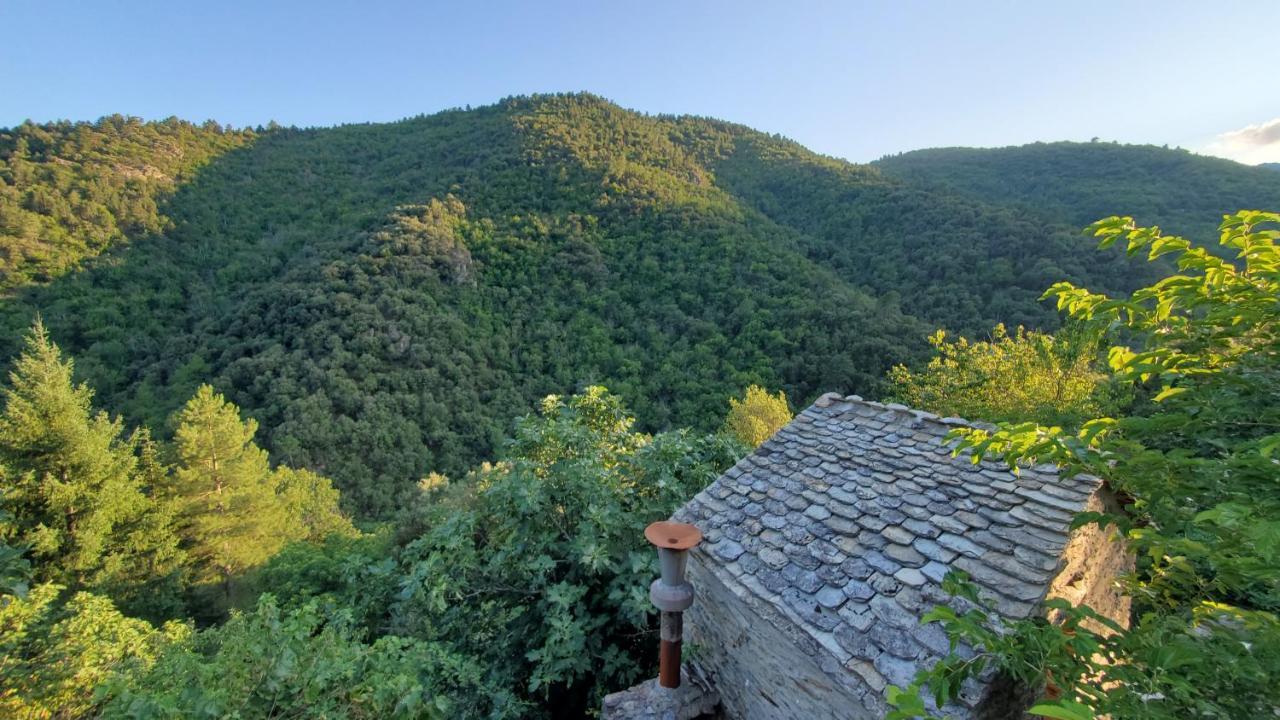 Gite De Combelebouze En Cevennes - Cosy, Confort Et Climatise - 3 Etoiles Saint-Privat-de-Vallongue Exterior foto