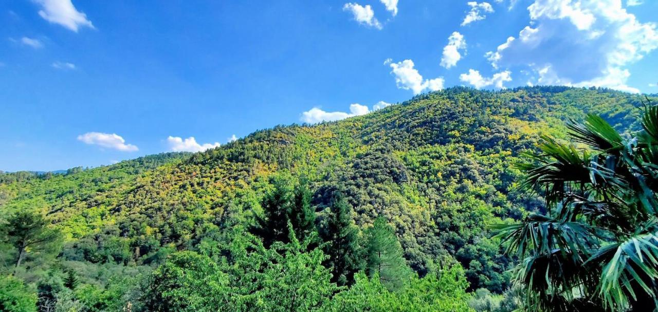 Gite De Combelebouze En Cevennes - Cosy, Confort Et Climatise - 3 Etoiles Saint-Privat-de-Vallongue Exterior foto