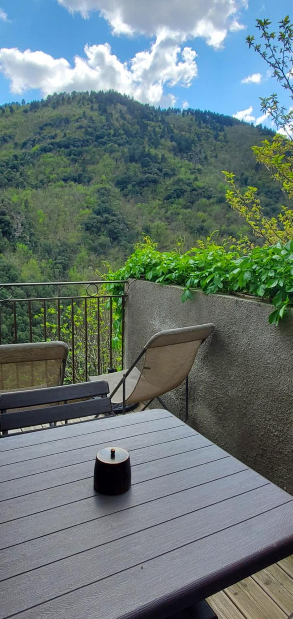 Gite De Combelebouze En Cevennes - Cosy, Confort Et Climatise - 3 Etoiles Saint-Privat-de-Vallongue Exterior foto